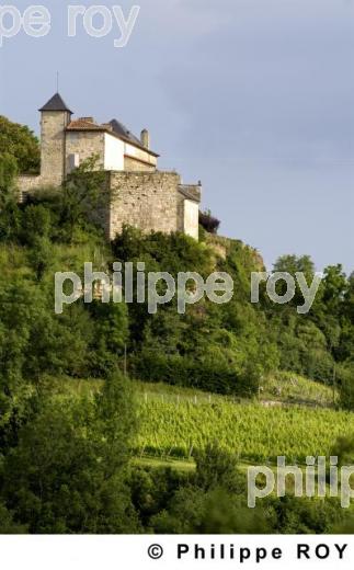 Le vignoble de Cahors (46V00324.jpg)
