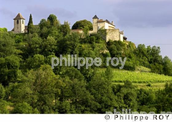 Le vignoble de Cahors (46V00325.jpg)