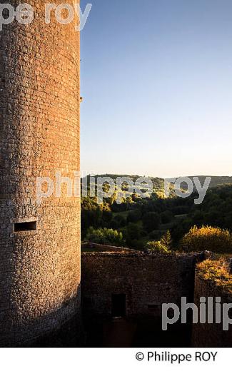 CHATEAU DE BONAGUIL, COMMUNE DE SAINT-FRONT-SUR-LEMANCE,   LOT-ET-GARONNE. (47F01105.jpg)