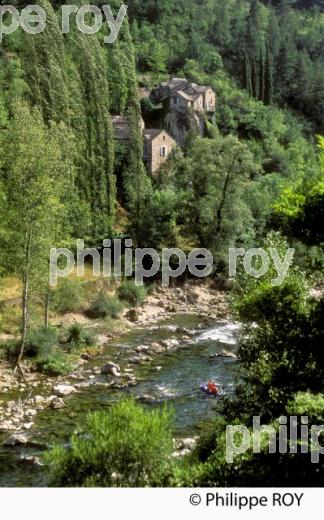 Gorges du Tarn (48F00101.jpg)