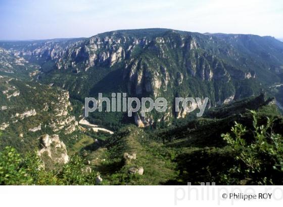 Gorges du Tarn (48F00104.jpg)