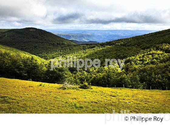 PAYSAGE DU MASSIF DE L'  AIGOUAL , VILLAGE DE CABRILLAC,  CEVENNES , LOZERE. (48F00108.jpg)