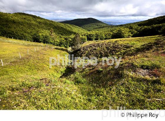 PAYSAGE DU MASSIF DE L'  AIGOUAL , VILLAGE DE CABRILLAC,  CEVENNES , LOZERE. (48F00110.jpg)