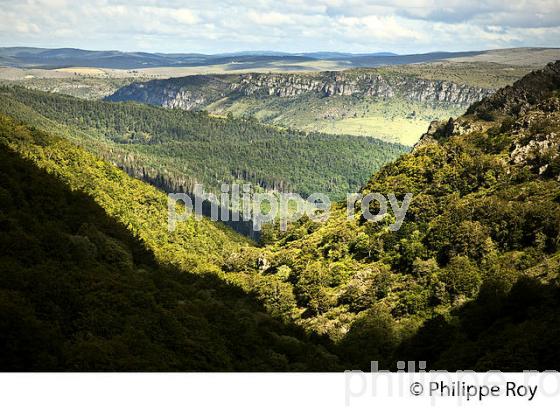 PAYSAGE DU MASSIF DE L'  AIGOUAL , VILLAGE DE CABRILLAC,  CEVENNES , LOZERE. (48F00113.jpg)