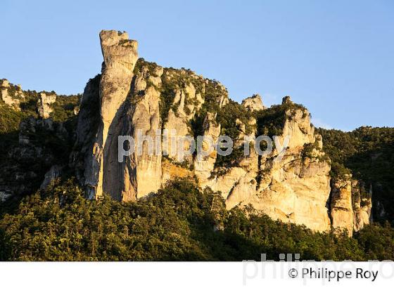 ROCHER DE CAPLUC, VILLAGE  LE ROZIER, GORGES DE LA JONTE,   CAUSSE DE MEJEAN,  LOZERE. (48F00212.jpg)