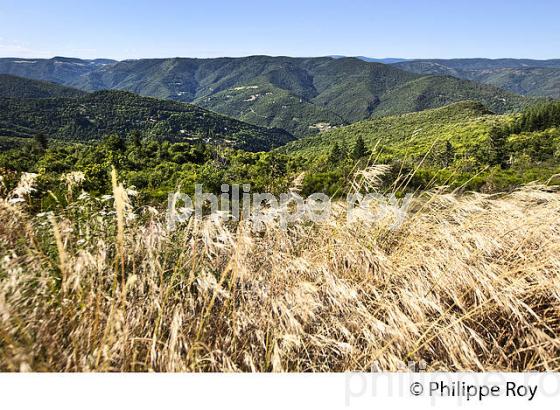 PANORAMA SUR LA VALLEE FRANCAISE,  CORNICHE DES CEVENNES , COMMUNE DE GABRIAC, LOZERE. (48F00240.jpg)