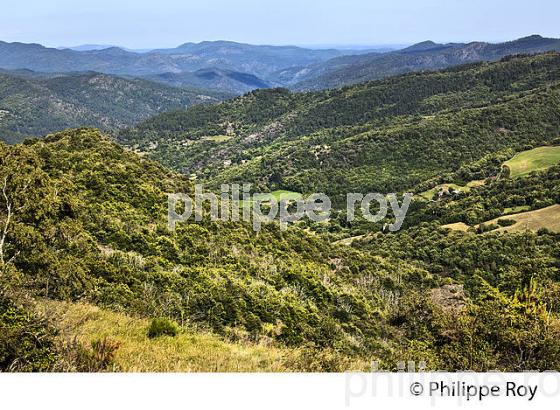 PANORAMA SUR LA VALLEE FRANCAISE,  CORNICHE DES CEVENNES , COMMUNE DE GABRIAC, LOZERE. (48F00302.jpg)