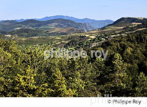 CORNICHE DES CEVENNES ET MASSIF DE L' AIGOUAL, COMMUNE DE VEBRON, LOZERE. (48F00313.jpg)