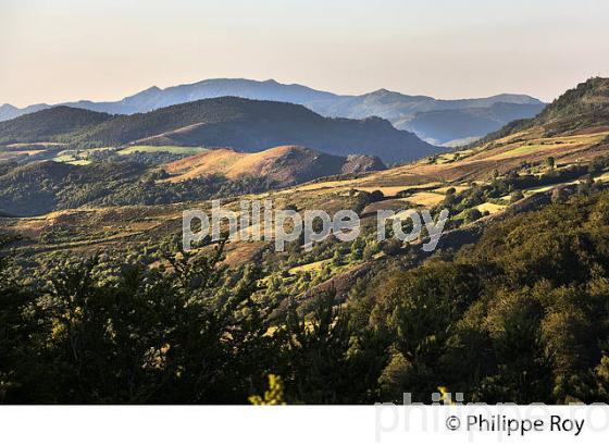 CORNICHE DES CEVENNES ET MASSIF DE L' AIGOUAL, COMMUNE DE VEBRON, LOZERE. (48F00315.jpg)