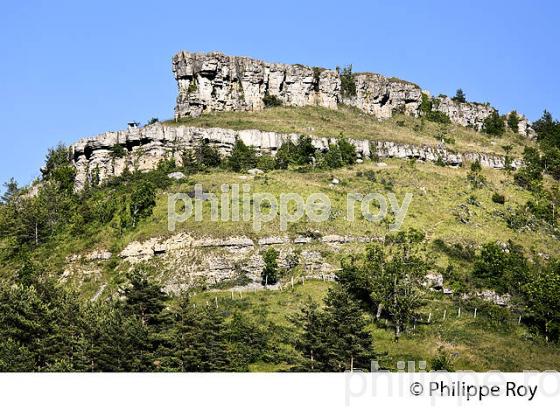 FALAISE  DE LA  CORNICHE DES CEVENNES ,  VALLEE FRANCAISE, COMMUNE   BARRE DES CEVENNES, LOZERE. (48F00321.jpg)
