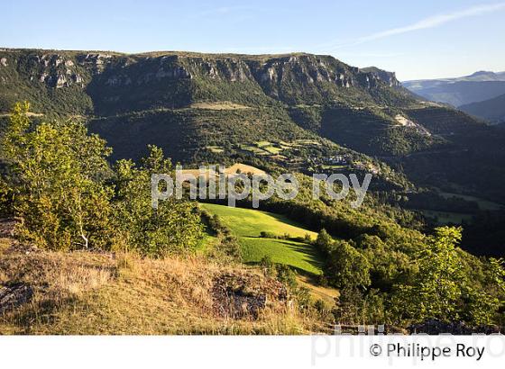VALLEE DU TARNON ET CAUSSE MEJAN, DEPUIS LE VILLAGE  DE SAINT LAURENT DE TREVES, CORNICHE DES CEVENNES ,  LOZERE. (48F00420.jpg)