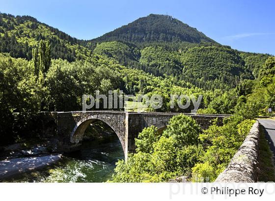 PONT ROMAN SUR LE TARN , VILLAGE D'ISPAGNAC  ,  GORGES  DU TARN ,  GEVAUDAN, LOZERE. (48F00523.jpg)