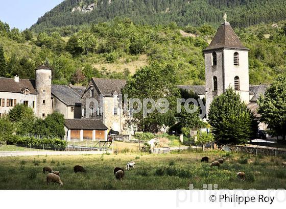 LE VILLAGE DE QUEZAC  ,  GORGES  DU TARN ,  GEVAUDAN, LOZERE. (48F00538.jpg)