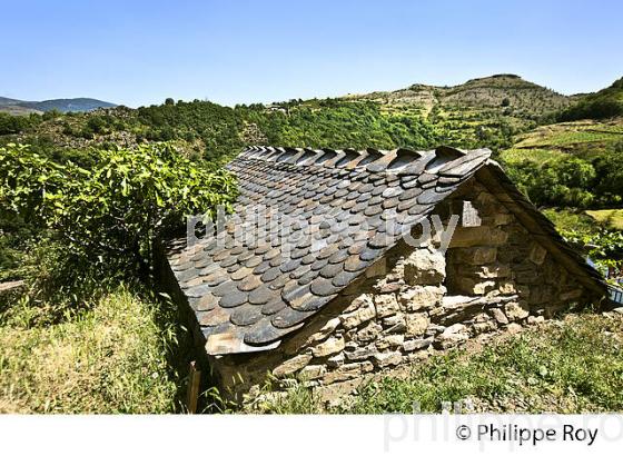 LA FERME DES CEVENNES,  FLORAC, GEVAUDAN, LOZERE. (48F01613.jpg)