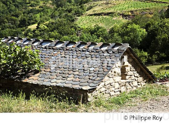 LA FERME DES CEVENNES,  FLORAC, GEVAUDAN, LOZERE. (48F01615.jpg)