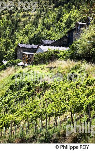 LA FERME DES CEVENNES,  FLORAC, GEVAUDAN, LOZERE. (48F01617.jpg)