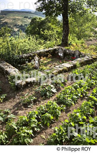 TOMBE PROTESTANTE, FERME DU MERLET, PONT DE MONTVERT, CEVENNES, LOZERE. (48F01814.jpg)