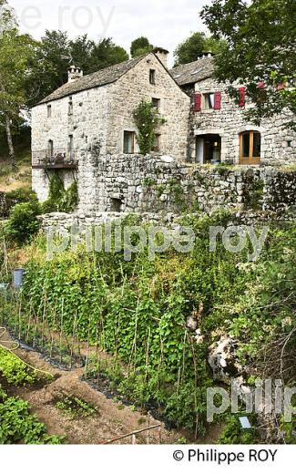 LA FERME ET CHAMBRES D' HOTES DU MERLET, PONT DE MONTVERT, CEVENNES, LOZERE. (48F01821.jpg)