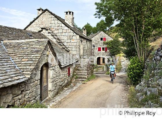 LA FERME ET CHAMBRES D' HOTES DU MERLET, PONT DE MONTVERT, CEVENNES, LOZERE. (48F01831.jpg)