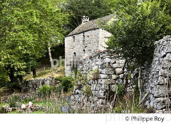 LA FERME ET CHAMBRES D' HOTES DU MERLET, PONT DE MONTVERT, CEVENNES, LOZERE. (48F01834.jpg)
