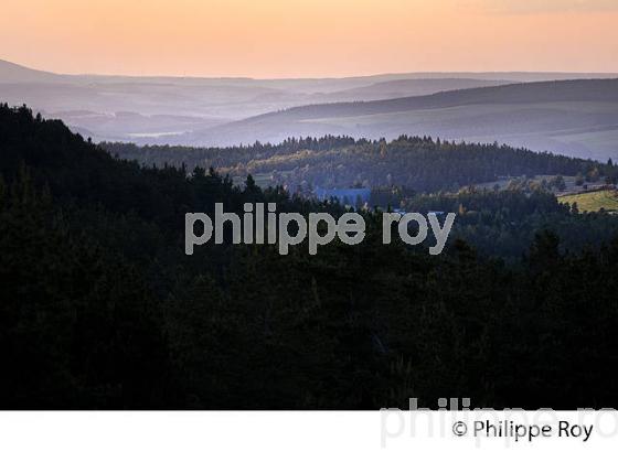 LEVER DU JOUR SUR LES CEVENNES , STATION DE SKI  LE BLEYMARD MONT LOZERE,   CEVENNES, LOZERE. (48F01838.jpg)