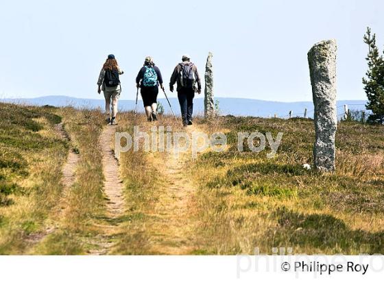 RANDONNEURS SUR LE CHEMIN DE STEVENSON, RANDONNEE PEDESTRESUR LE MONT LOZERE, CEVENNES, LOZERE (48F01925.jpg)