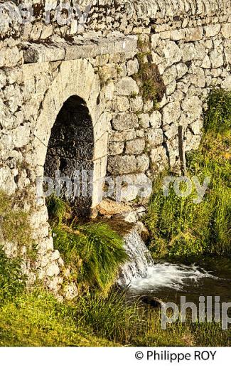 PONT EN PIERRE, COL DE FILNIES, LE BLEYMARD, MONT LOZERE,  CEVENNES, LOZERE. (48F02004.jpg)