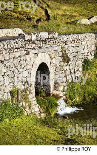 PONT EN PIERRE, COL DE FILNIES, LE BLEYMARD, MONT LOZERE,  CEVENNES, LOZERE. (48F02005.jpg)