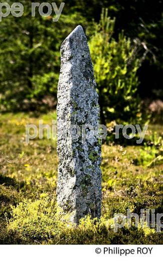 MONJOIE, PIERRE DRESSEE, CHEMIN DE STEVENSON, RANDONNEE PEDESTRE  AVEC ANE SUR LE MONT LOZERE, CEVENNES, LOZERE (48F02034.jpg)