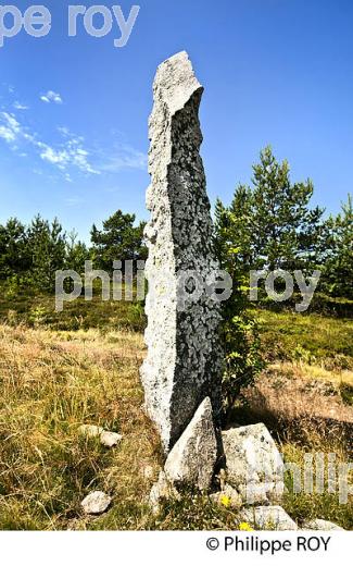 MONJOIE, PIERRE DRESSEE, CHEMIN DE STEVENSON, RANDONNEE PEDESTRE  AVEC ANE SUR LE MONT LOZERE, CEVENNES, LOZERE (48F02035.jpg)