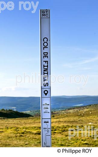 LE COL DE FILNIES, LE BLEYMARD, MONT LOZERE,  CEVENNES, LOZERE. (48F02037.jpg)