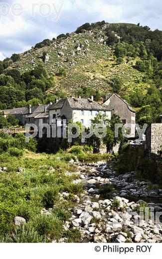 LE TARN  ET VILLAGE DE  PONT DE MONTVERT, VALLEE DU TARN, MONT LOZERE, CEVENNES, LOZERE. (48F02314.jpg)