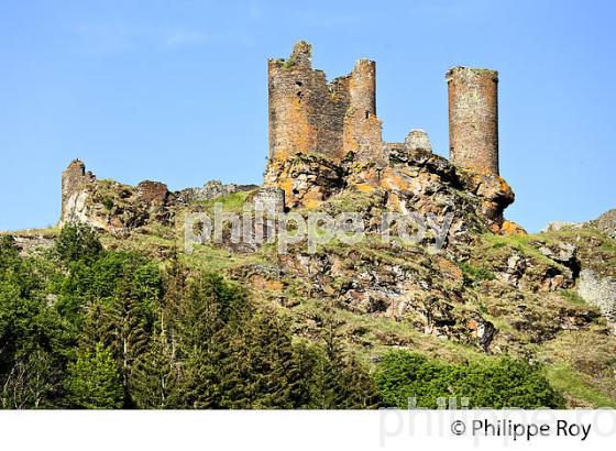 CHATEAU FORT  DE SAINT-JULIEN-DU-TOURNEL, VALLEE DU LOT, MONT LOZERE, CEVENNES, LOZERE (48F02414.jpg)