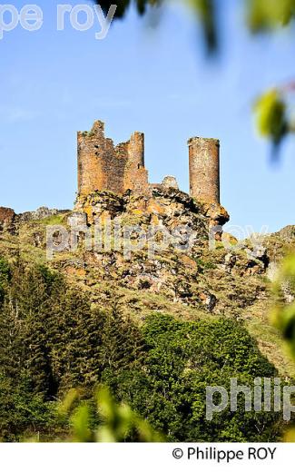 CHATEAU FORT  DE SAINT-JULIEN-DU-TOURNEL, VALLEE DU LOT, MONT LOZERE, CEVENNES, LOZERE (48F02416.jpg)