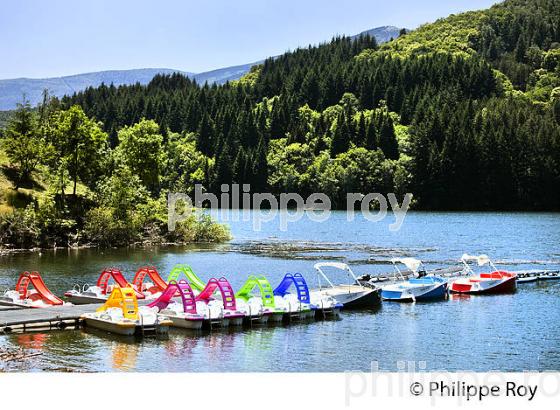 LAC DE VILLEFORT SUR  L' ALTIER, COMMUNE DE POURCHARESSES, VALLEE DE L' ALTIER, MONT LOZERE, CEVENNES, LOZERE. (48F02420.jpg)