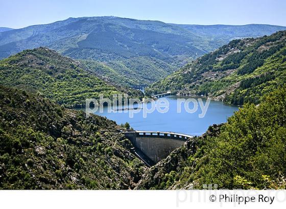 BARRAGE SUR L' ALTIER  ET LAC DE VILLEFORT ,  COMMUNE DE VILLEFORT, VALLEE DE L' ALTIER, MONT LOZERE, CEVENNES, LOZERE. (48F02427.jpg)