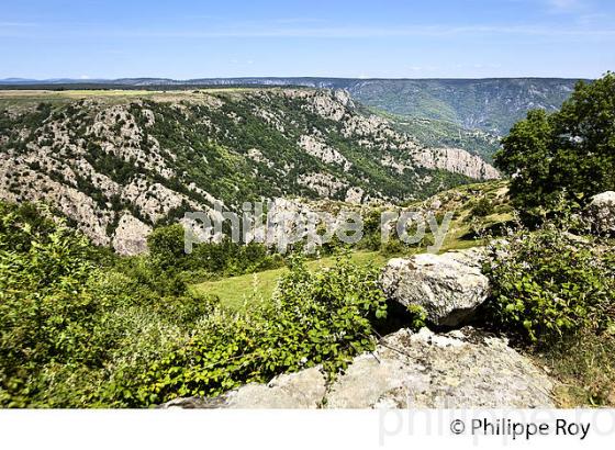 VILLAGE FORTIFIE DE LA GARDE-GUERIN, VALLEE DU CHASSEZAC, MONT LOZERE, CEVENNES, LOZERE. (48F02532.jpg)