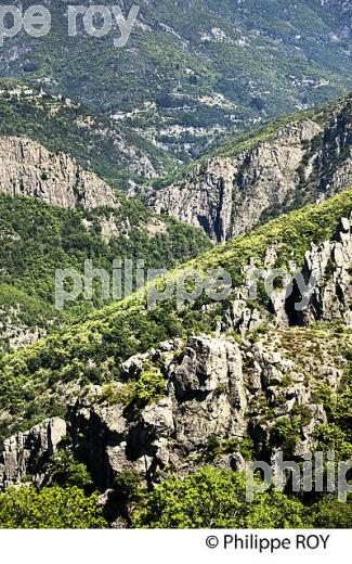 VILLAGE FORTIFIE DE LA GARDE-GUERIN, VALLEE DU CHASSEZAC, MONT LOZERE, CEVENNES, LOZERE. (48F02533.jpg)