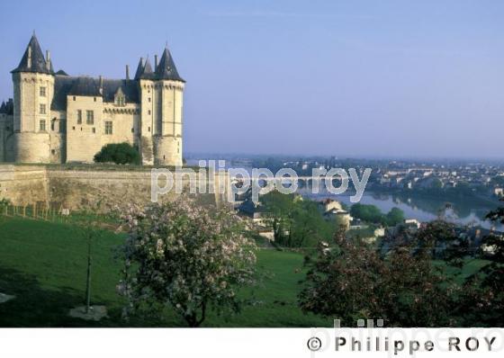LES CHATEAUX DE LA LOIRE, ANJOU, FRANCE (49V00220.jpg)