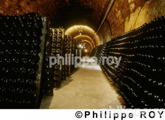 Cave  champagne (51F00103.jpg)