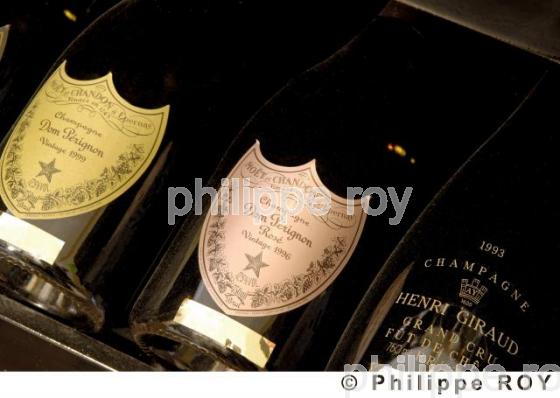 Le vignoble de Champagne (51F00124.jpg)