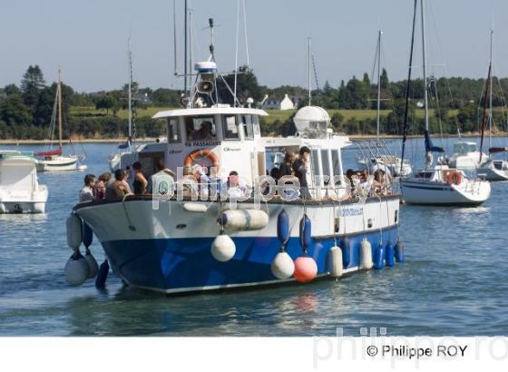 Le Morbihan (56F00905.jpg)