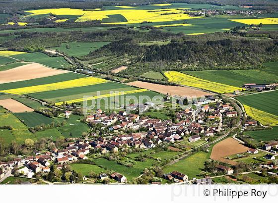 VILLAGE DE NOISY ET PAYSAGE AGRICOLE, ,PAYS DES VAUX DE L 'YONNE,  NIEVRE, BOURGOGNE. (58F00101.jpg)