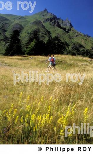Puy de Sancy (63F00104.jpg)
