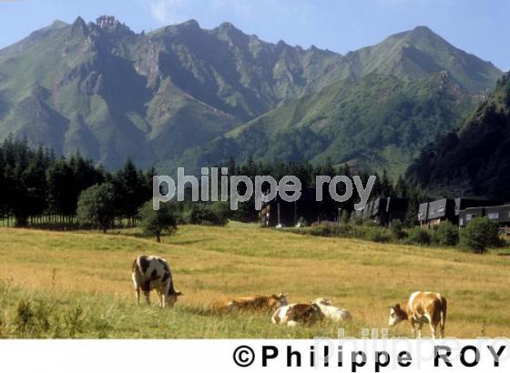 Puy de Sancy (63F00108.jpg)