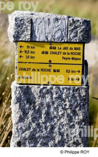 Les Monts du Forez - Auvergne (63F00120.jpg)