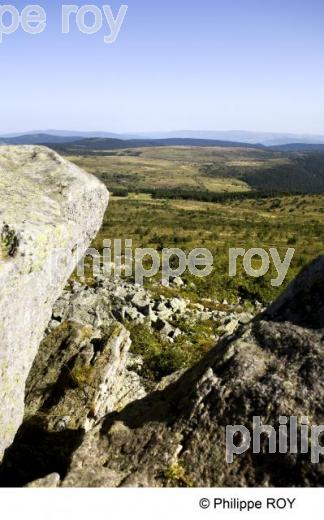 Les Monts du Forez - Auvergne (63F00121.jpg)