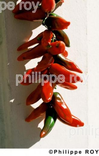 Le piment d' Espelette (64F01206.jpg)