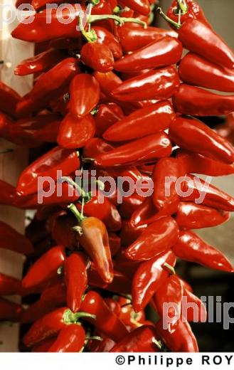 Le piment d' Espelette (64F01211.jpg)