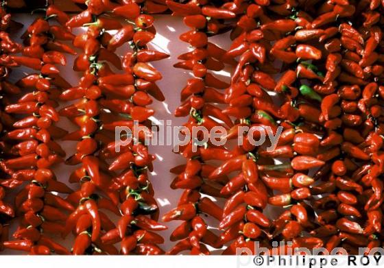Le piment d' Espelette (64F01212.jpg)